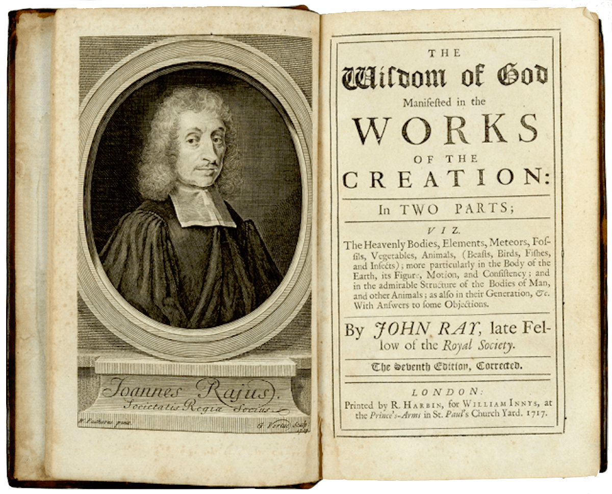 Examples of wisdom in life image